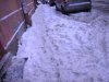 DSCN4321.jpg