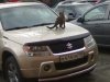 24052010045.jpg