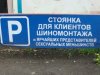 t_dsc00579_167.jpg