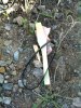 2011-04-29 10.18.53.jpg