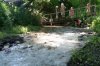 DSC00716.jpg