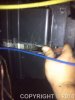 IMG_20110728_134037.jpg
