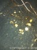 IMG_20110728_134018.jpg