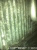 IMG_20110728_140717.jpg