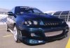 sw317autoplastica.jpg
