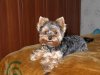 Resize of Bonny 2.JPG