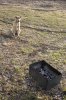 DSC04164.jpg