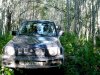 P1220540_1.jpg