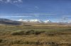IMG_6020.jpeg