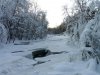 P1290566_1.jpg