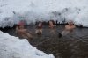 Hot_water2.jpg