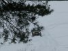IMG_1212_1.jpg