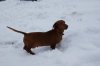 DSC00355.JPG