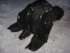 Локеры передние - сравнение-1.JPG