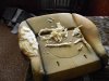 DSCN1241.JPG