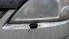 IMAG0146.jpg