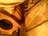 DSC00394.jpg