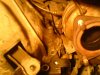 DSC00395.jpg