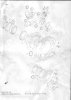 SWScan00001.jpg