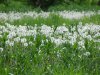 DSC01483.JPG