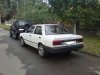 DSC00196.jpg