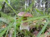 DSCN4900_L.jpg