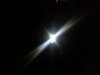 20130221_075044.jpg