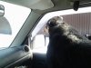 20130220_141435.jpg