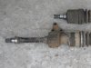 CIMG2505-1.jpg