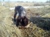 2013-04-14 14.26.08.jpg