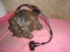 DSC01514_1.jpg