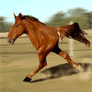 15126_prev_98.gif