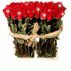 розы.gif