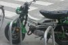 CIMG0062_1.jpg