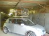 DSC09342.jpg
