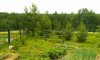 PICT0968.jpg