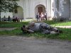 P1010526.jpg