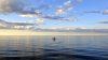 DSC05699.jpg