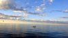 DSC05700.jpg