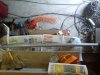 DSC00185.jpg