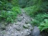 c_IMG_1010.JPG