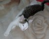 IMGP6293_L.jpg