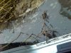 IMG_20131116_172537.jpg