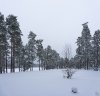 DSC05460-Panorama.jpg