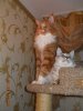 DSCN1302.jpg