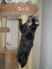 DSCN1234.jpg