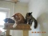DSCN1223.JPG