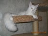 DSCN1254.JPG