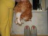 DSCN2577.JPG