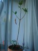 DSC035505.jpg